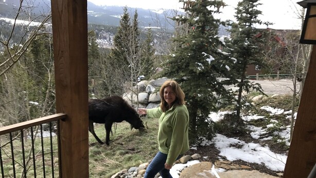 Una persona en una cubierta de madera con vistas a un paisaje nevado y un animal negro pastando.