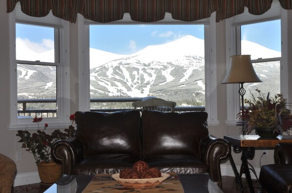 Smart TV, fireplace, DVD player, books