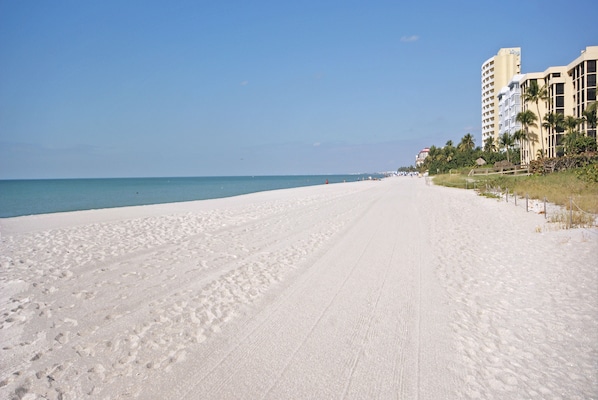 A wide, sandy beach with a clear blue sky and calm sea. There are buildings with balconies and palm trees along the shore.