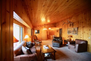 TV, caminetto, lettore DVD, libri