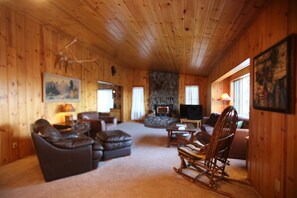 TV, caminetto, lettore DVD, libri