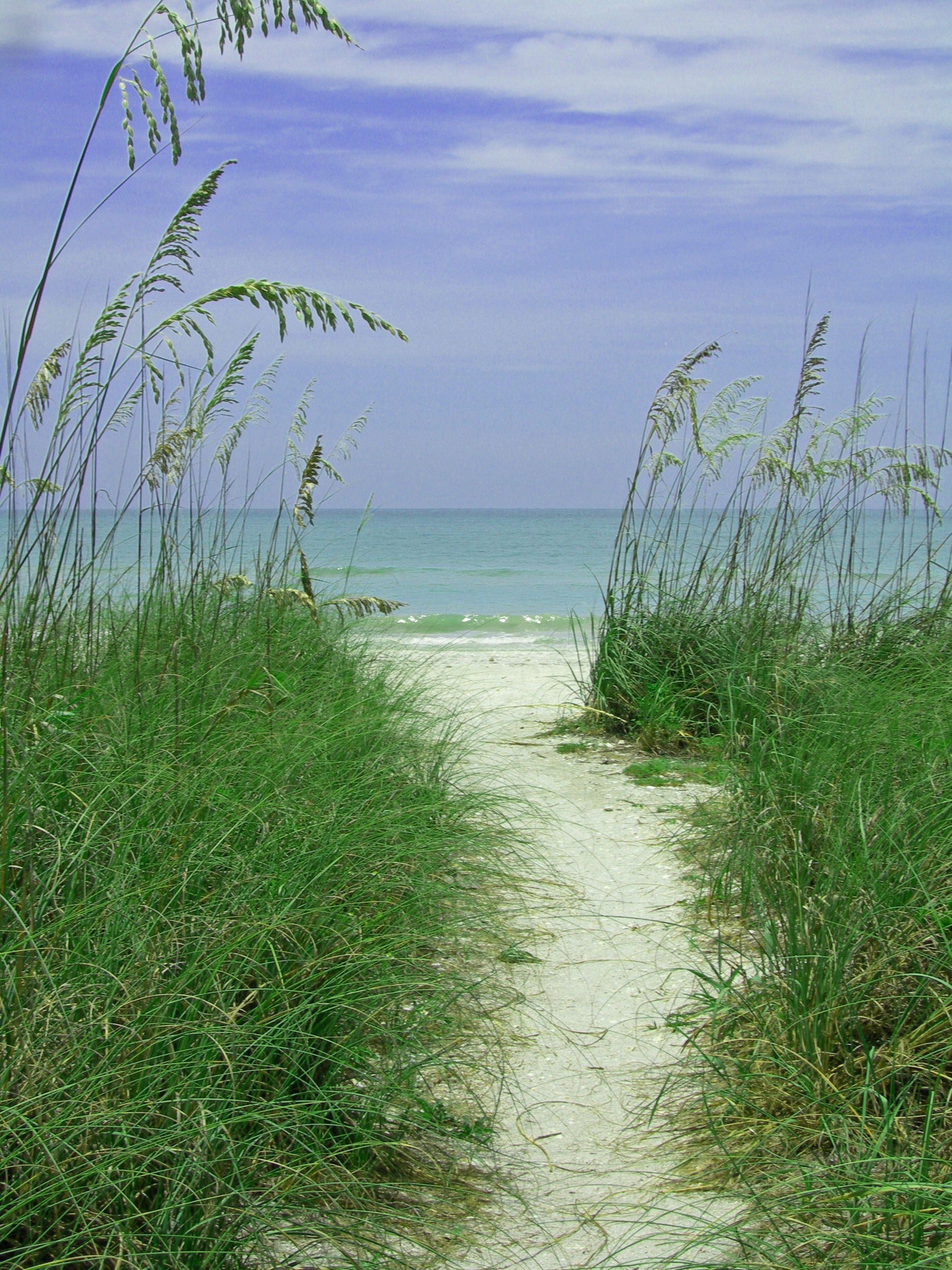 Beach nearby, sun-loungers, beach towels