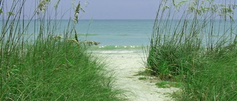 Beach nearby, sun-loungers, beach towels