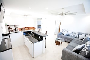 Smart TV, DVD player, books, video library