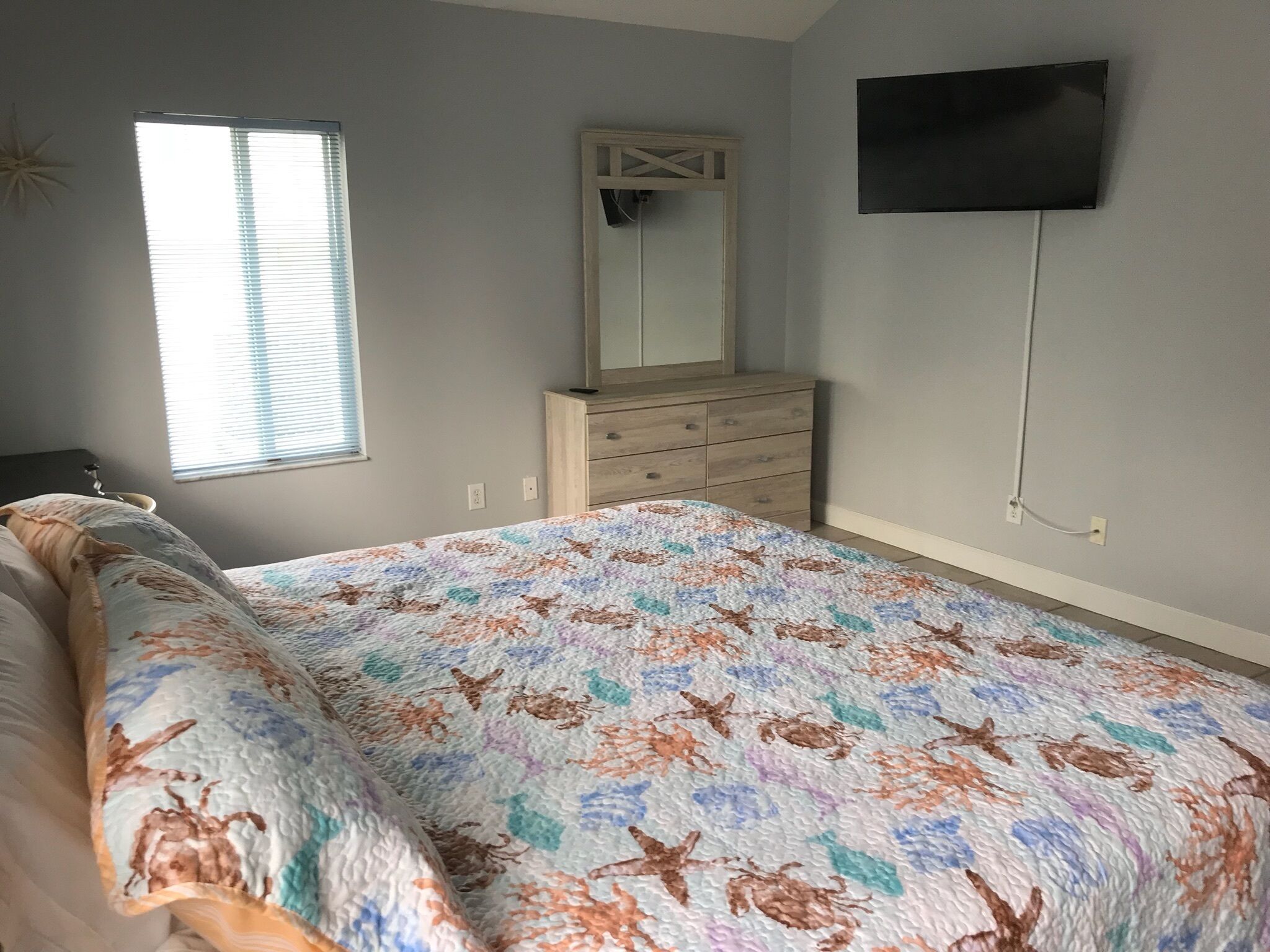 Flipper's Lagoon   Luxury Waterfront  Pool Home       Dolphins in Backyard Daily