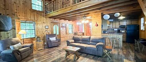 Télévision, cheminée, lecteur de DVD, chaîne hi-fi