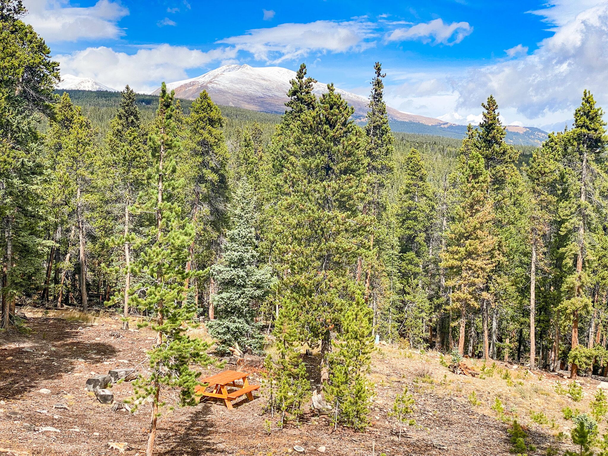 A forested area with a picnic table and a mountain in the background.