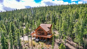 A wooden cabin surrounded by a dense forest. - Hot Tub, Mtn Views & Seclusion - Moose Wetlands, 24mi Breck, Pets OK (Fairplay)