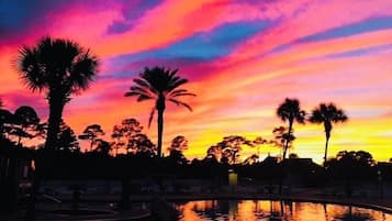 Escape to a serene tropical haven with a tranquil body of water and picturesque palm trees.