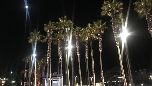 A nighttime scene with tall palm trees and a well-lit area, possibly a beach or resort area. - Spacious ocean View Penthouse sleeps 8-10 w/large ocean facing deck! (Imperial Beach)