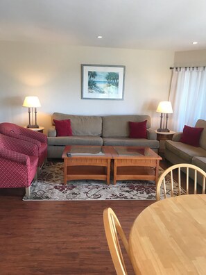 Smart TV, fireplace, DVD player, books