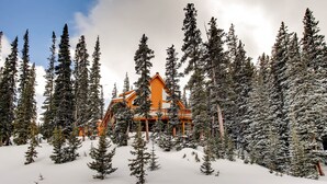 Un chalet entouré d’arbres couverts de neige.