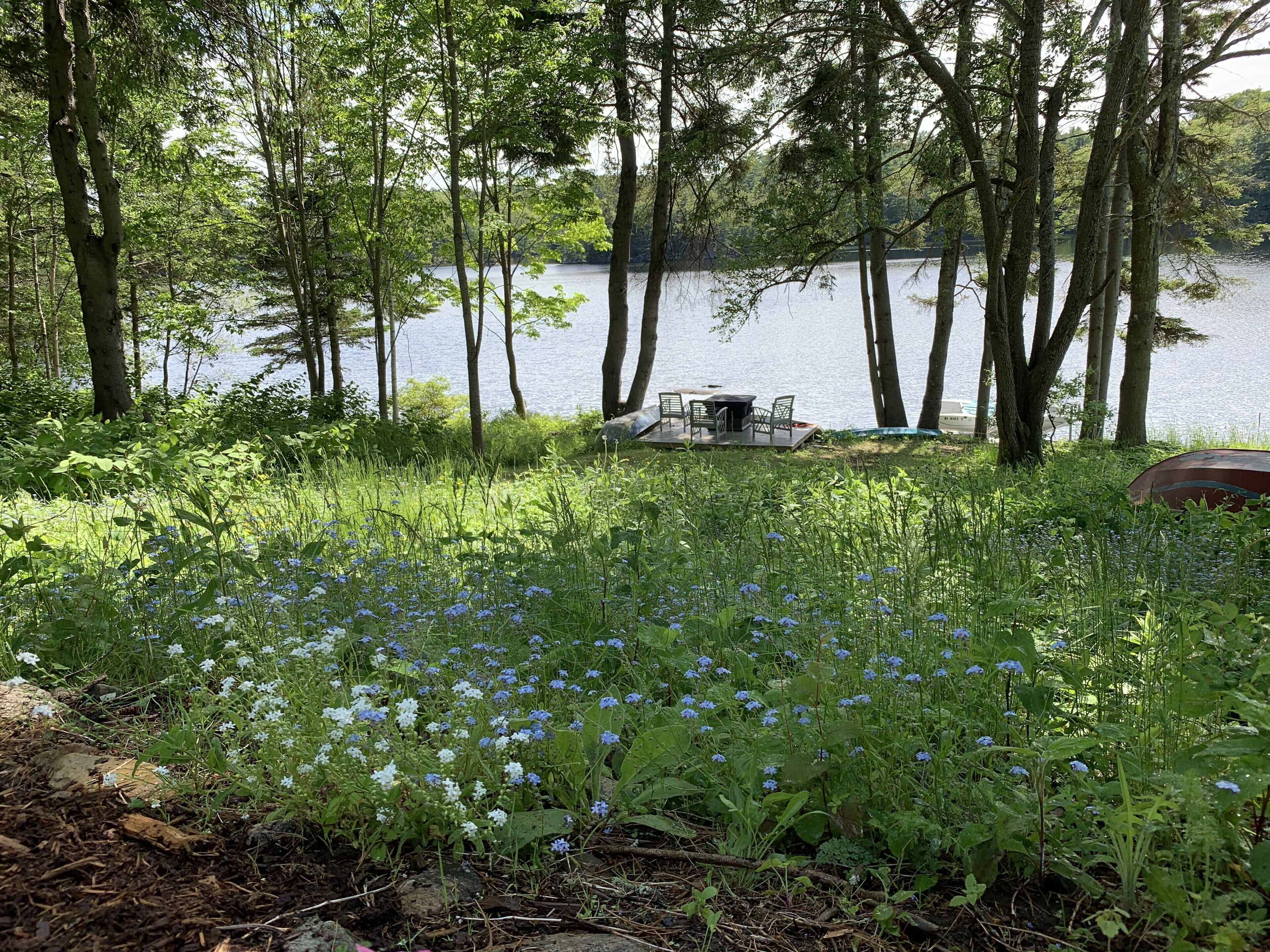 A lakeside setting with a table and chairs set up for outdoor dining, surrounded by trees and wildflowers.