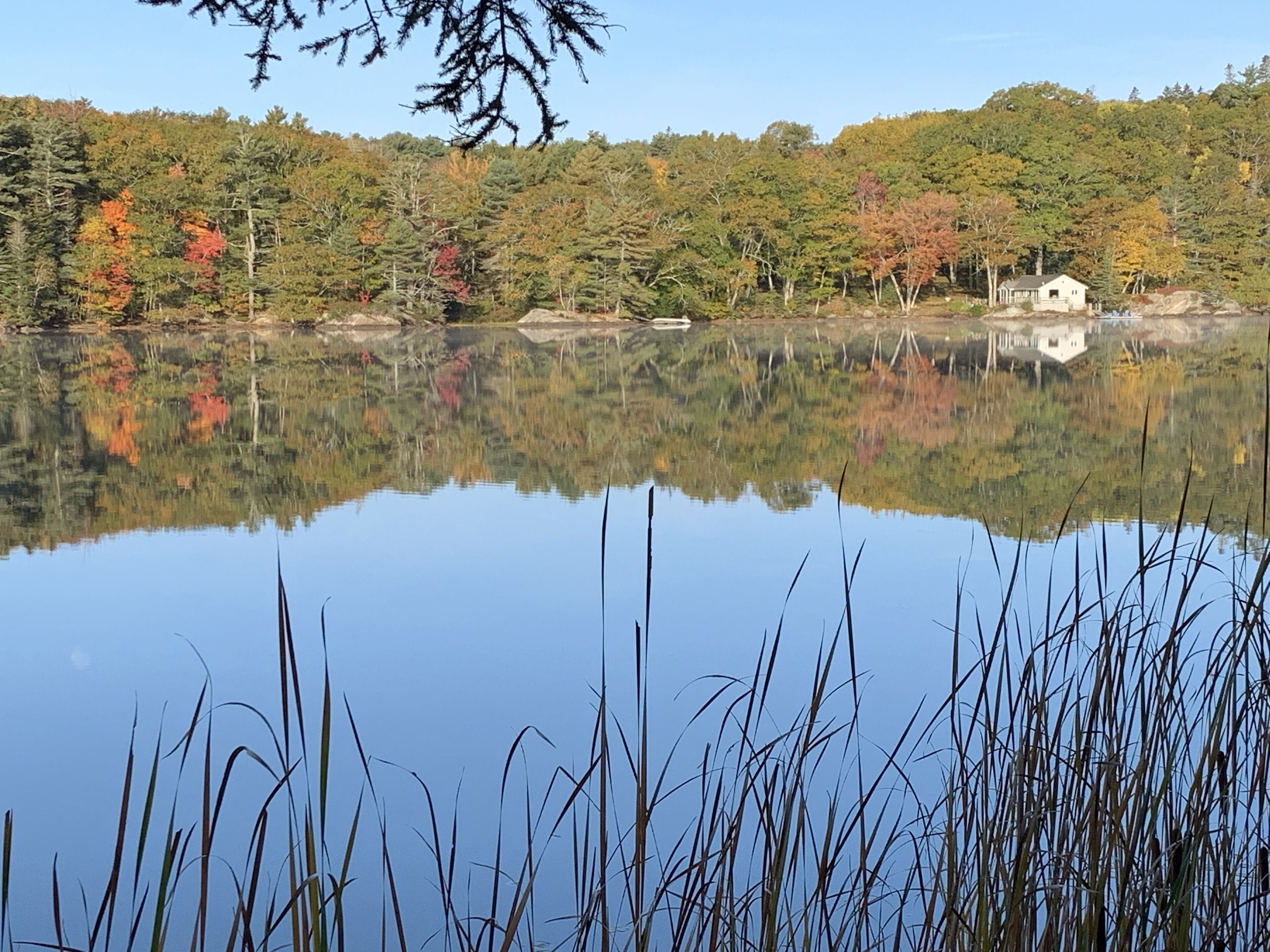 Un lac paisible où se reflètent les arbres, avec une petite cabane sur la rive.