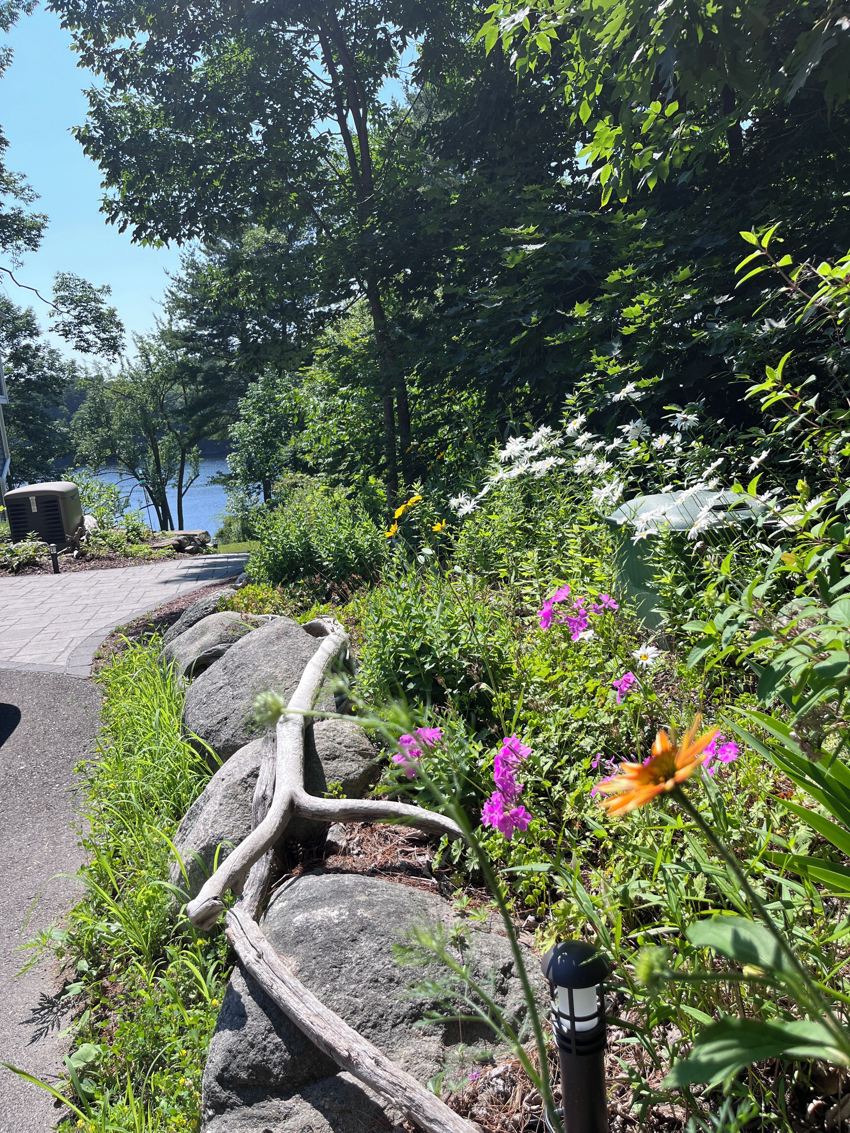 Un chemin pavé bordé d’une clôture en bois, avec un lampadaire et diverses plantes et fleurs.