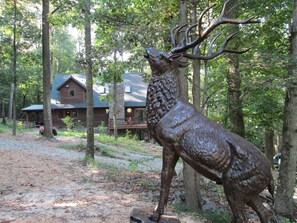 Property grounds - Luxury Cabin Nestled In The Beautiful Blue Ridge Mountains (Boonsboro)