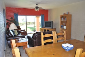 Smart TV, DVD player, books