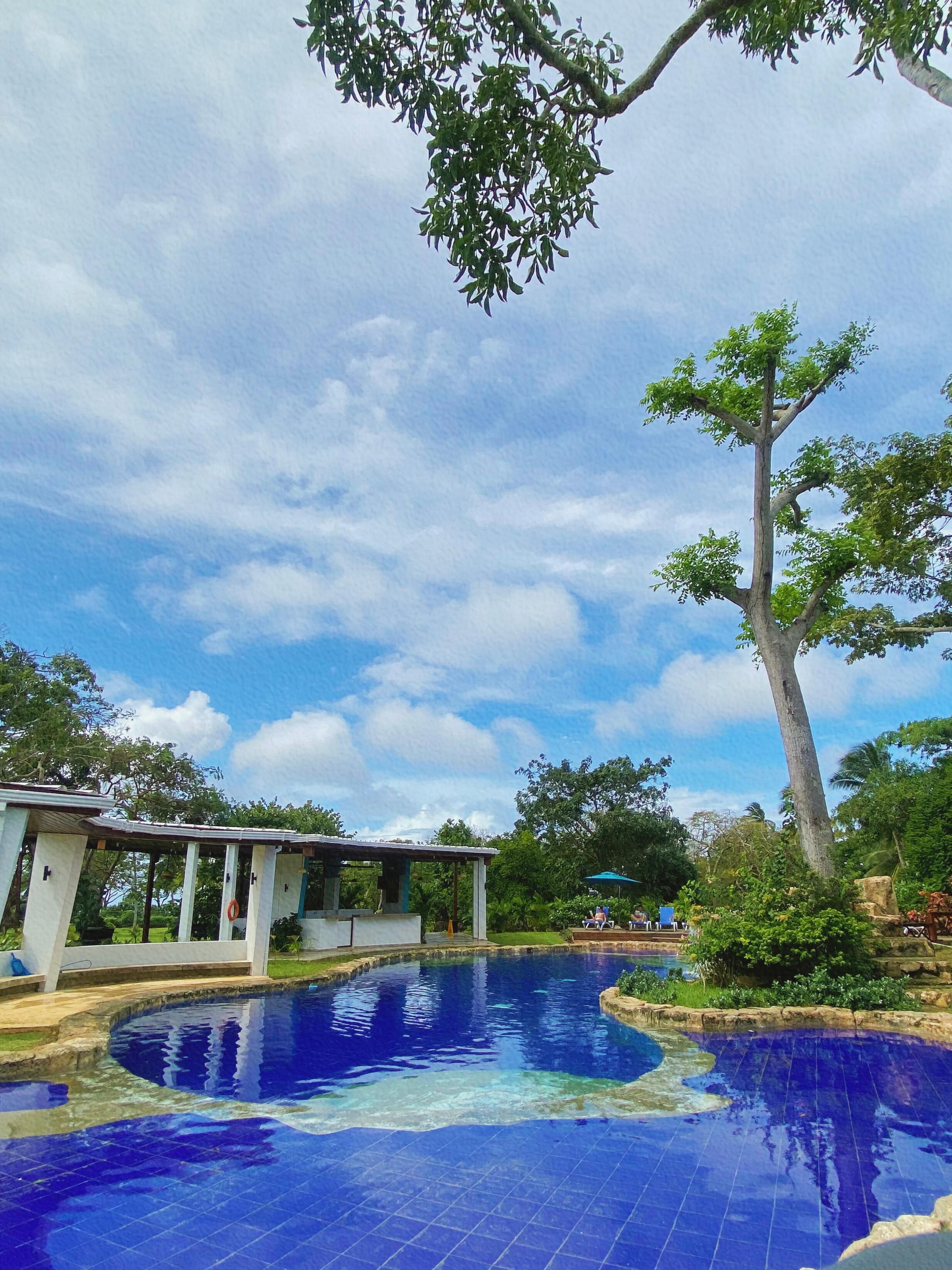 Outdoor pool, open 8:00 AM to 9:00 PM, pool loungers