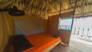 Un lit simple dans une pièce dont le toit est recouvert de chaume et les murs sont en bois.