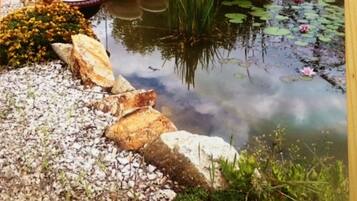 Piscina natural