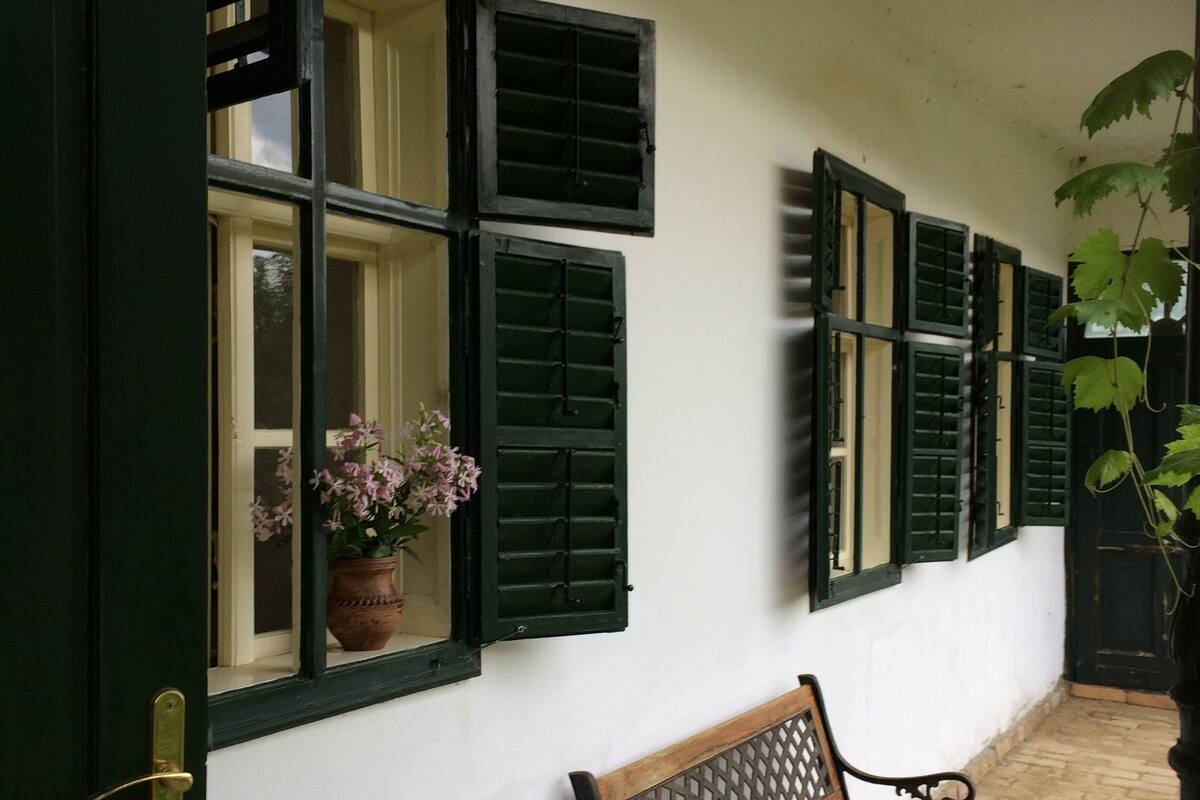 A corridor with a bench, a door with open shutters, and a potted plant.
