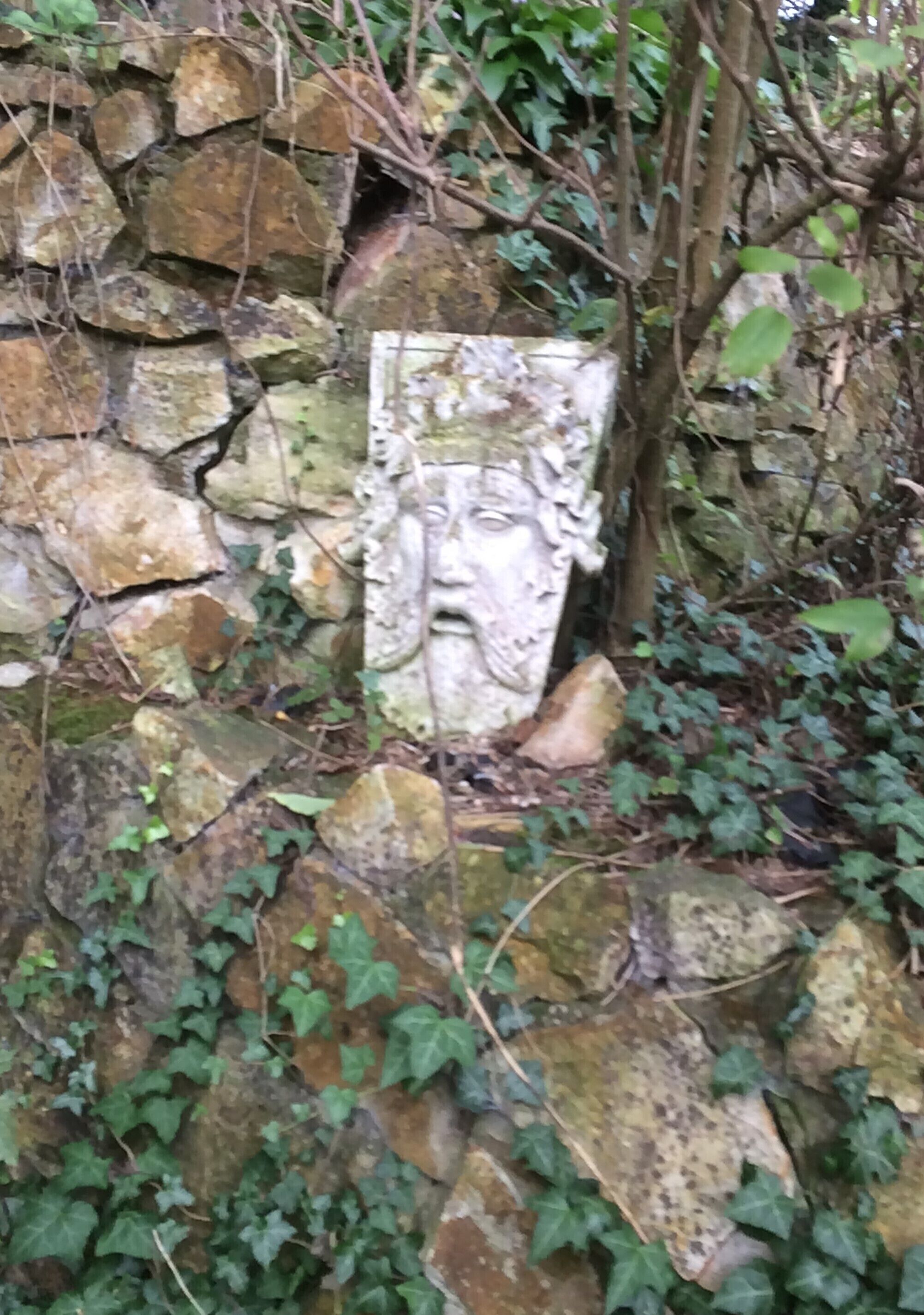 A stone wall with a carved face, surrounded by ivy and branches.