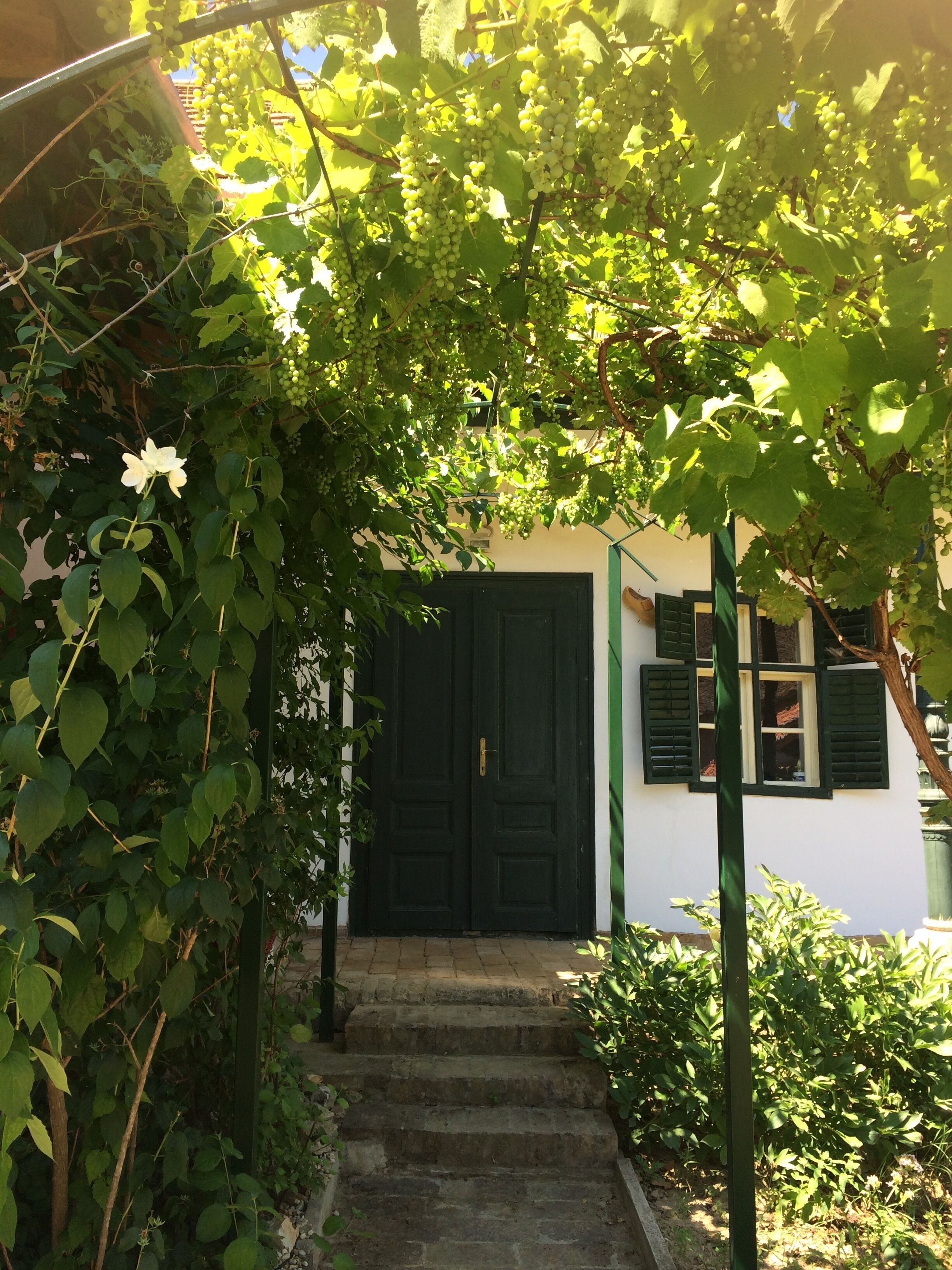 Suite, Non Smoking, Garden View | Terrace/patio