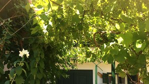 A stone staircase leading to a black door with green shutters, surrounded by lush greenery and white flowers. - Farmotel Stefania (Szakadat)