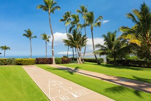 Sports court - Spectacular Ocean Front location!  Everything a Beach vacation should be!  AC!!! (Kihei)