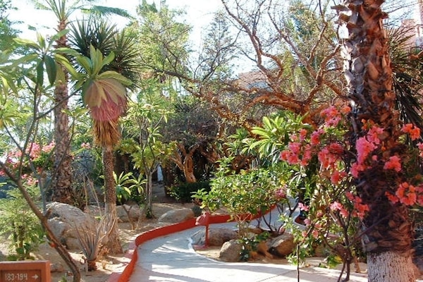 Pathway in front of Condo
