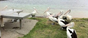 Gerohn Vacation home