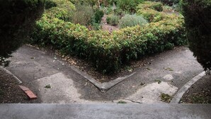 A residential garden with a paved pathway, neatly trimmed hedges, and tall evergreen trees. - Heritage, renovated, miners Cottage in Clunes (Clunes)