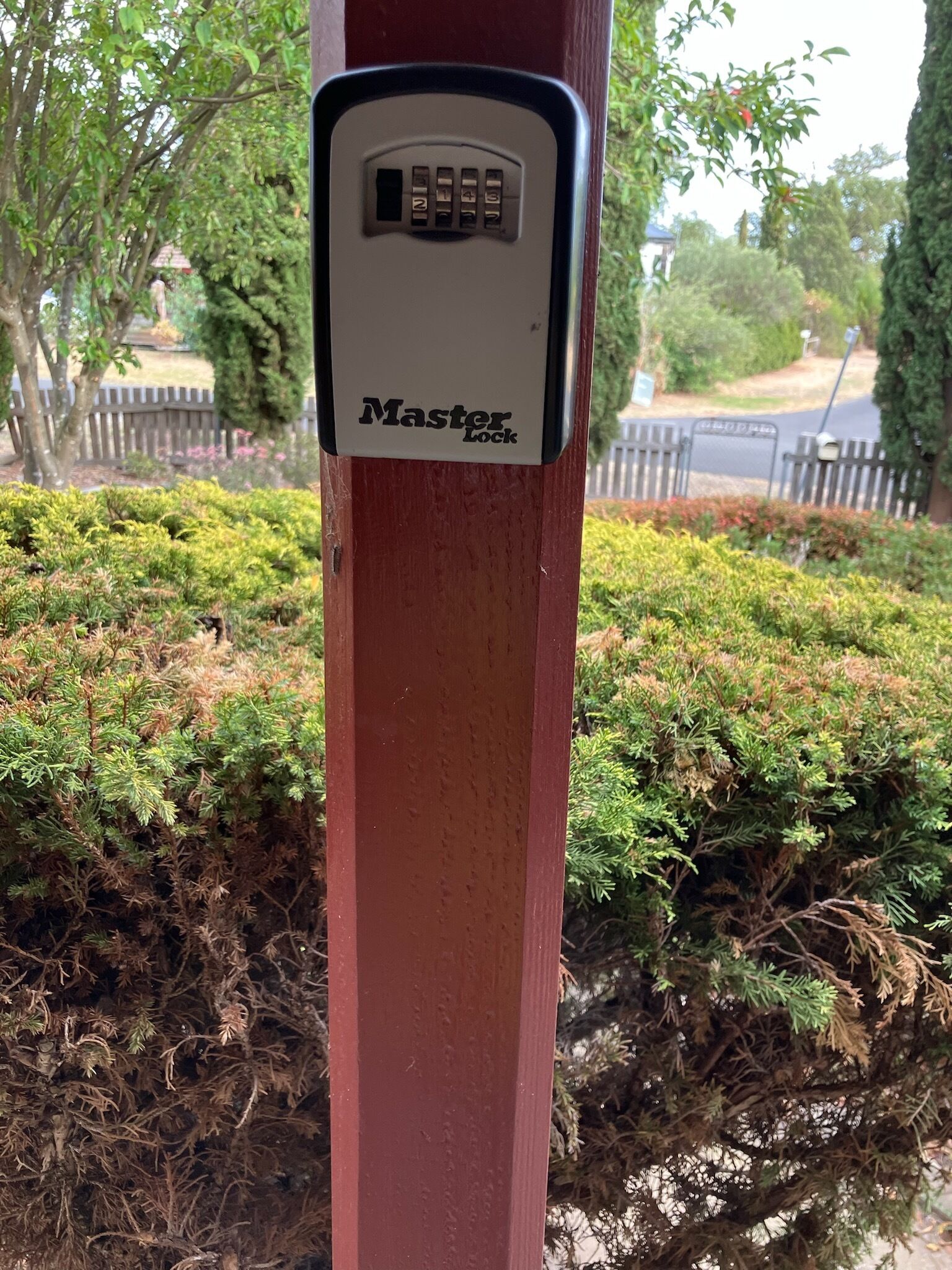 A Master Lock on a wooden post with a hedge in the background.