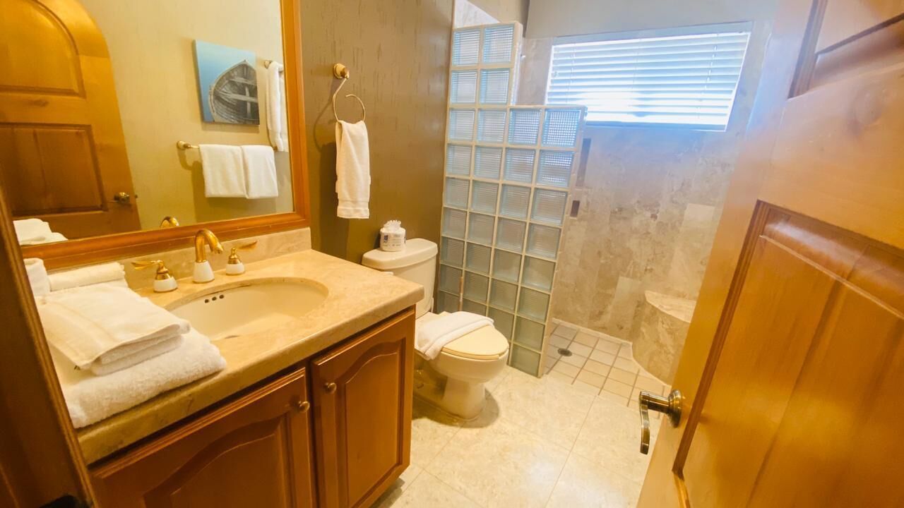 A bathroom with a sink, mirror, toilet, and shower.