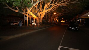 A nighttime street scene with a tree-lined road, a parked van, and a car.
