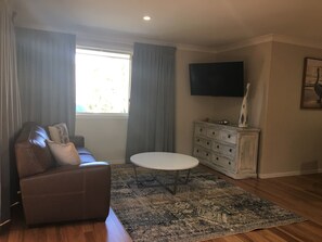 Smart TV, DVD player, books, video library