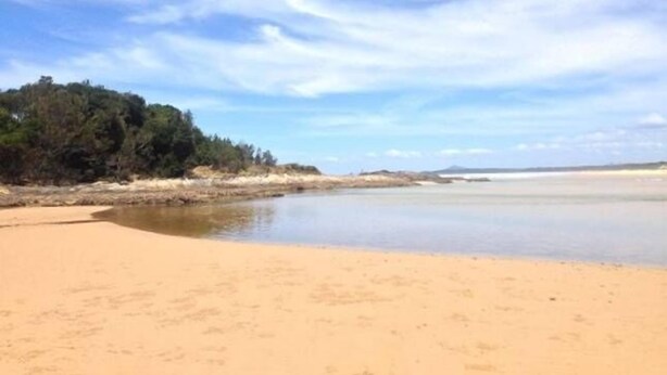 A beach with a sandy shore and a forested area in the background.