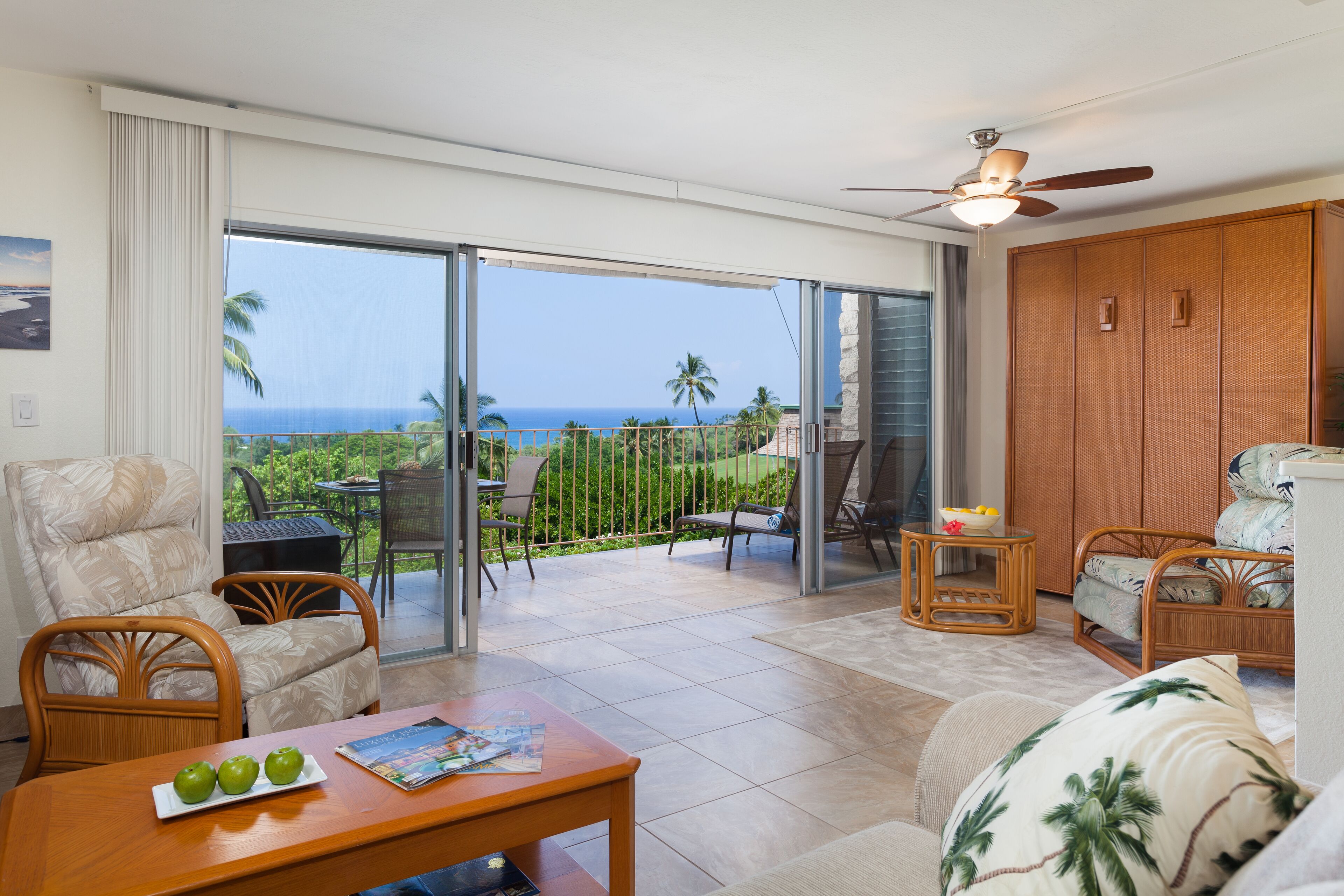 智能电视、DVD 播放器