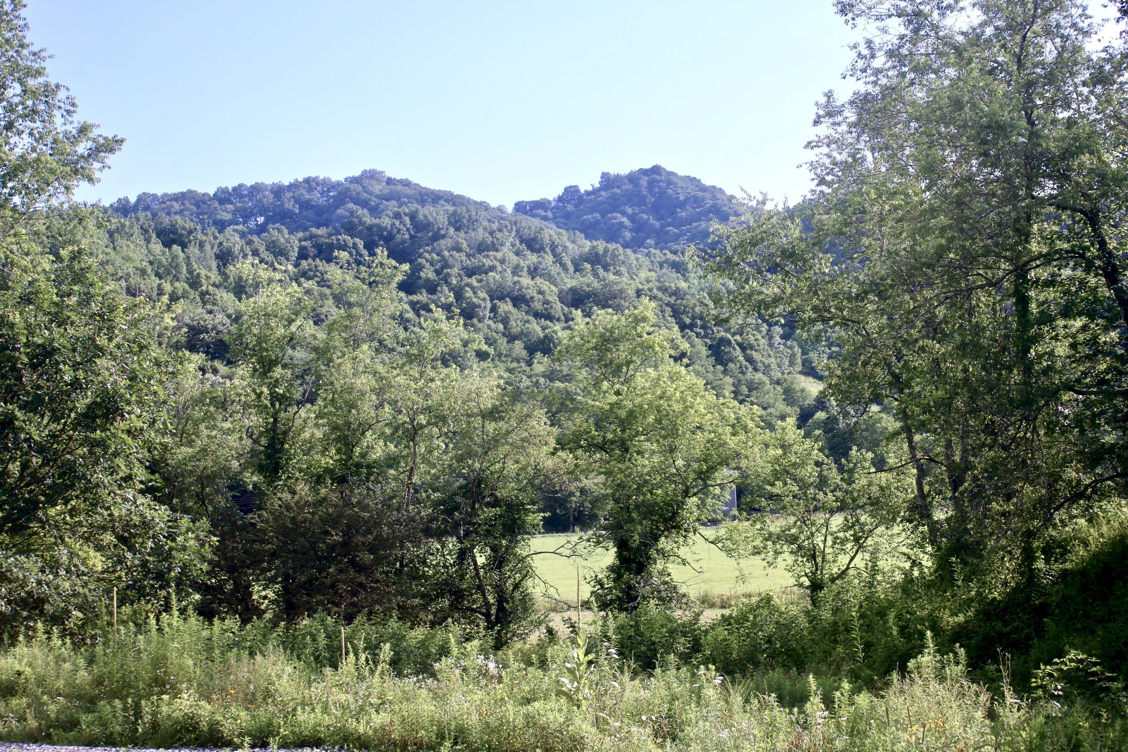 Paesaggio naturale con una collina boscosa e cielo sereno.