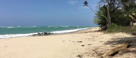 A beach with clear skies, calm waves, and a few palm trees.
