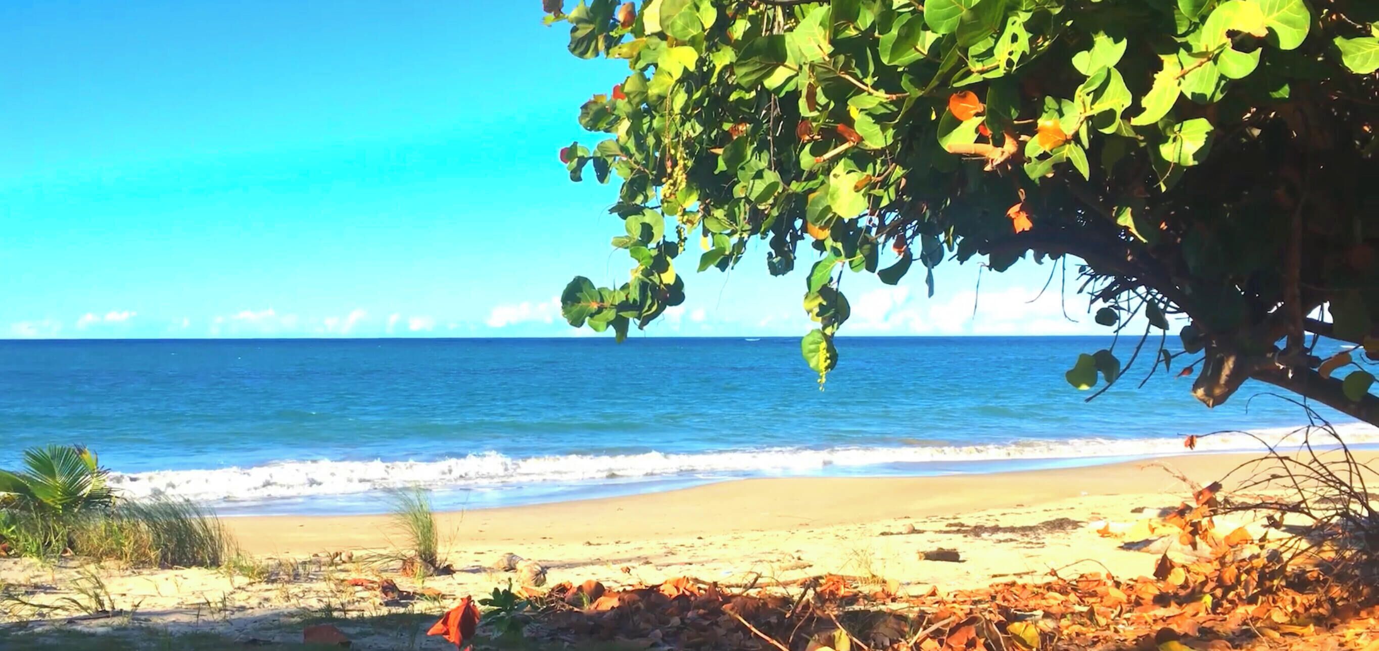 Ein Strand mit blauem Himmel, ruhiger Wellengang und sandigem Ufer.