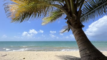 On the beach, sun-loungers, beach towels