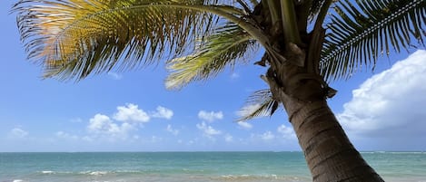 On the beach, sun loungers, beach towels