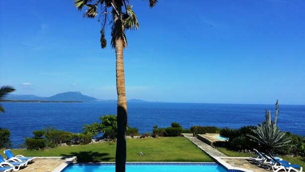 Ein Poolbereich mit Liegestühlen, einer Palme und Blick auf den Ozean.