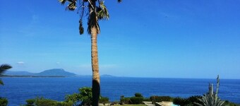 Ocean Front Condo In Down Town Location