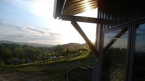 Vista desde una ventana con marco metálico y un panel de vidrio, sobre un paisaje cubierto de hierba con árboles y una colina distante.