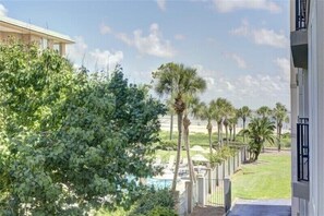 Property grounds - Beach Club 207, Oceanfront complex (St Simons Island)