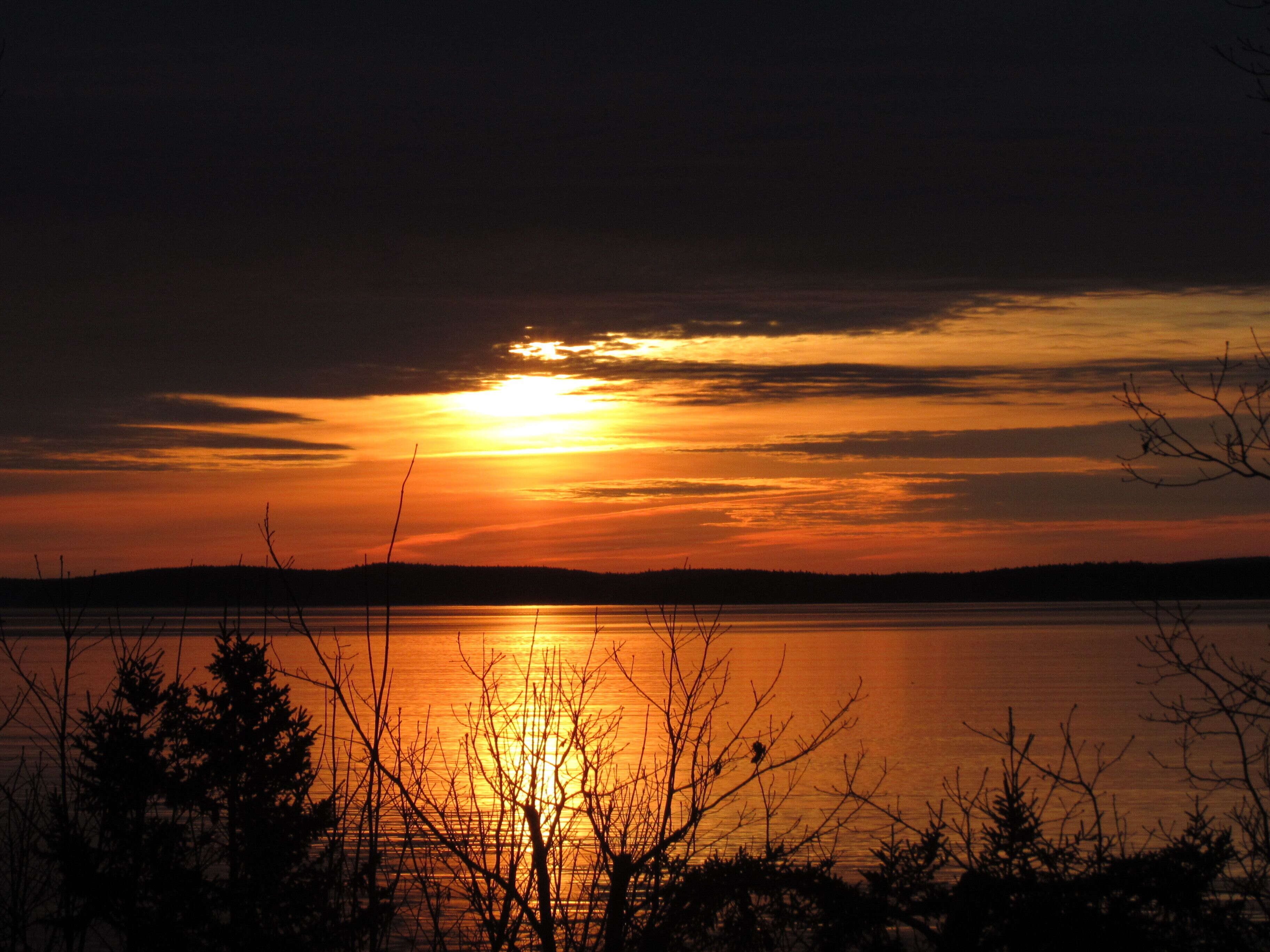 The Lookout in Bar Harbor