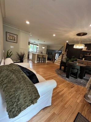 TV connectée, cheminée, lecteur de DVD, livres