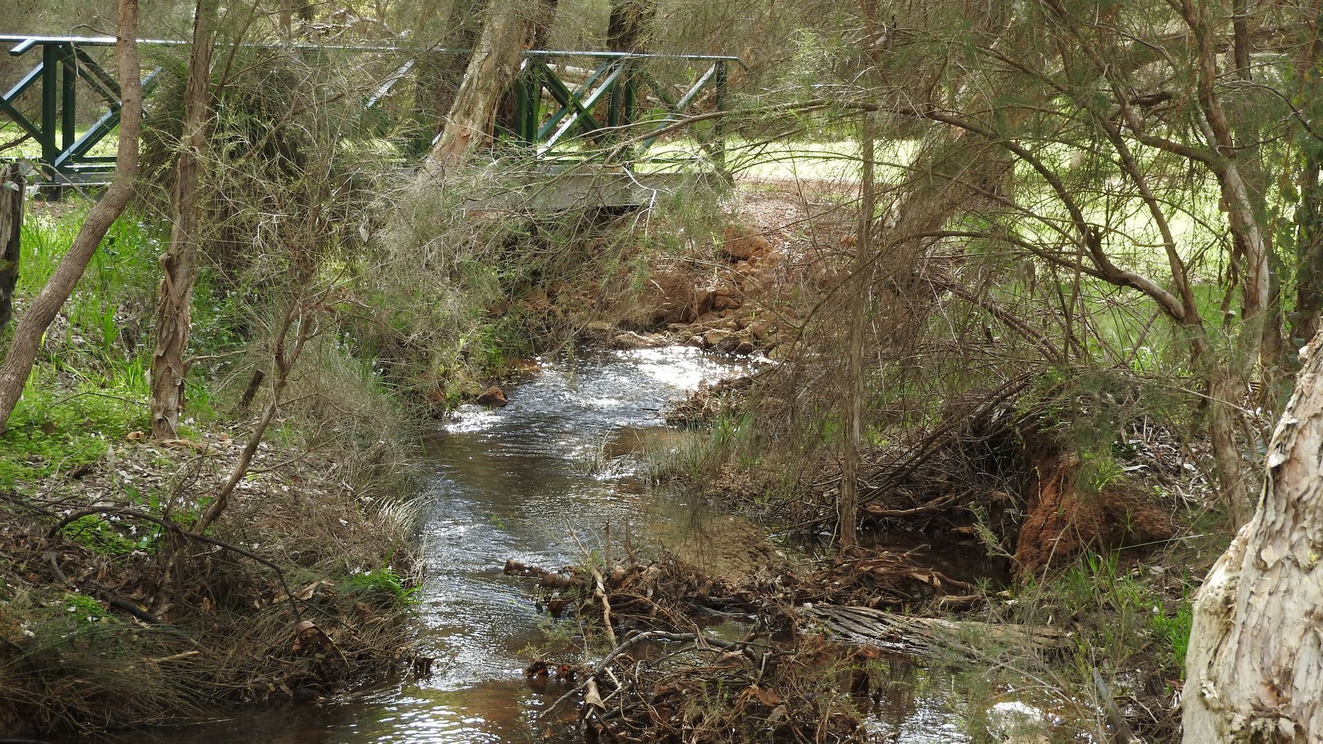 Cockatoo Hills \nPerth Hills  — image 24